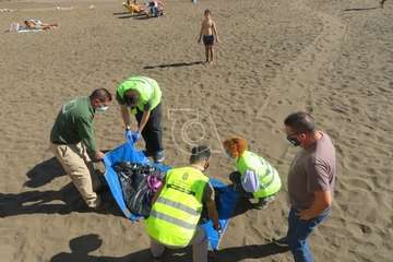 Una raya mantelina aparece muerta en la orilla de la playa de Salinetas/TA.