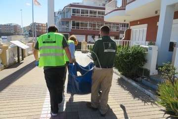 Una raya mantelina aparece muerta en la orilla de la playa de Salinetas/TA.