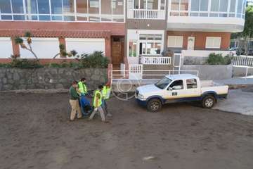 Una raya mantelina aparece muerta en la orilla de la playa de Salinetas/TA.