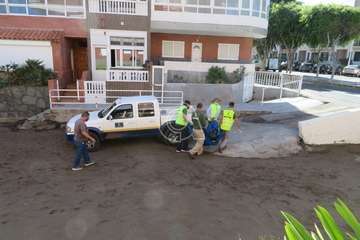Una raya mantelina aparece muerta en la orilla de la playa de Salinetas/TA.
