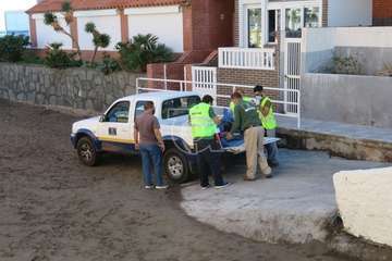 Una raya mantelina aparece muerta en la orilla de la playa de Salinetas/TA.