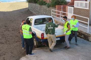 Una raya mantelina aparece muerta en la orilla de la playa de Salinetas/TA.