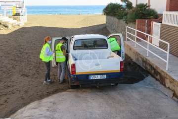 Una raya mantelina aparece muerta en la orilla de la playa de Salinetas/TA.