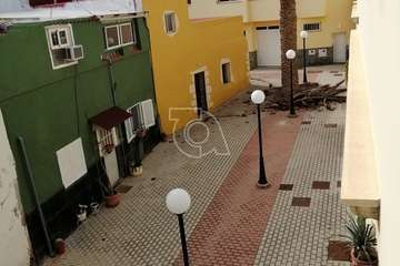 El viento derriba ramas de una 