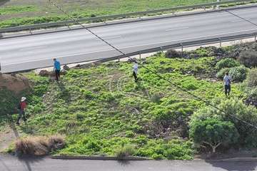 Campaña de limpieza del entorno del acceso peatonal a Las Bachilleras llevada a cabo este sábado/Jesús Ruiz Mesa.