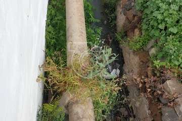 Vertido de aguas fecales procedente de la tubería de la red pública de saneamiento/TA.