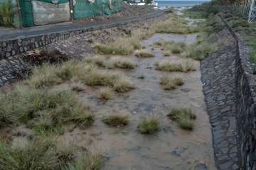 Desbordamiento de la red de aguas fecales en Ojos de Garza/Francisco José Mejías.
