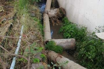 Grave problema medioambiental en La Herradura por la rotura de una tubería de saneamiento/TA.