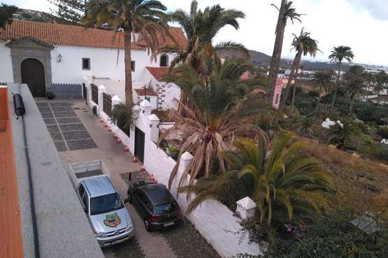  Se reanudan en San Francisco los trabajos para eliminar los viejos troncos de palmera de la finca conventual/TA.