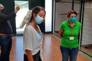 La consejera de Educación y Juventud, Olaya Morán, durante la visita a las instalaciones/Luis Socorro.