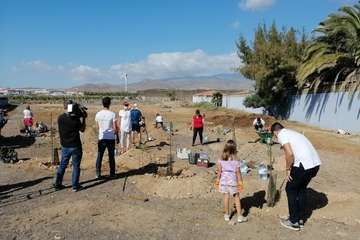 Plantación de pinos marinos y tarajales en una parcela de Melenara/TA.