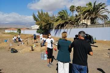 Plantación de pinos marinos y tarajales en una parcela de Melenara/TA.