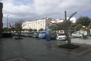 Trabajos de mantenimiento de la arboleda en Salinetas/TA.