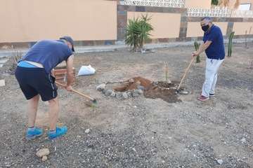 El concejal Álvaro Monzón, promotor de la iniciativa Barrios Verdes/Luis E. Socorro.