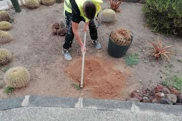 Vandalismo en La Garita contra el jardín de cactus del colectivo Punto y Seguido/TA.