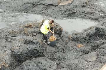 Vandalismo en La Garita contra el jardín de cactus del colectivo Punto y Seguido/TA.