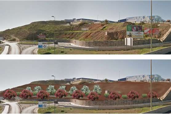 El Cabildo regenera el talud de la zona industrial de Jinámar que da a la GC-1/TA.