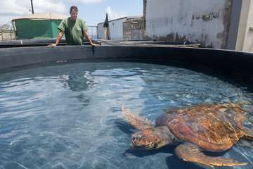 Taliarte, el aliado del Centro de Recuperación de Fauna/TA.