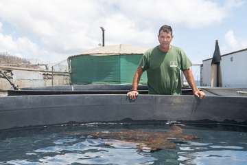 Taliarte, el aliado del Centro de Recuperación de Fauna/TA.