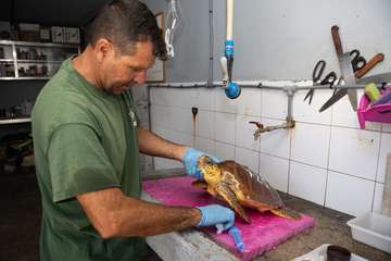 Taliarte, el aliado del Centro de Recuperación de Fauna/TA.