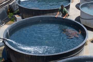 Taliarte, el aliado del Centro de Recuperación de Fauna/TA.