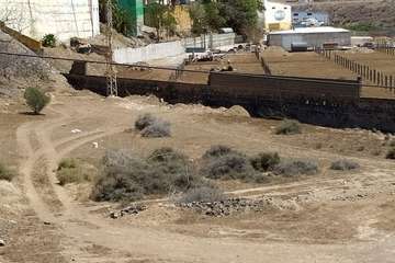 Marpequeña alerta de que unas obras en el barranco podrían dañar el hábitat de unos lagartos gigantes/TA.