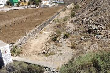 Marpequeña alerta de que unas obras en el barranco podrían dañar el hábitat de unos lagartos gigantes/TA.