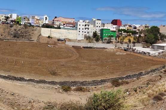 Marpequeña alerta de que unas obras en el barranco podrían dañar el hábitat de unos lagartos gigantes/TA.