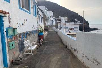 Zambullida en Tufia en la segunda jornada del VI Fotosub Costa de Telde/TA.