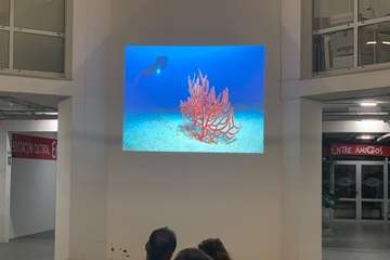 Entrega de trofeos y fotografías premiadas/TA.