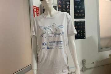 Entrega de trofeos y fotografías premiadas/TA.