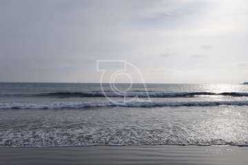 Vara una ballena muerta en la playa de Ojos de Garza (Telde)/TA.