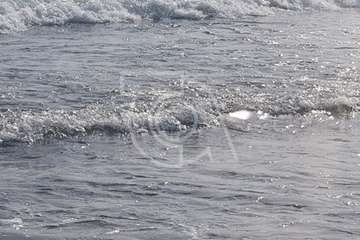 Vara una ballena muerta en la playa de Ojos de Garza (Telde)/TA.