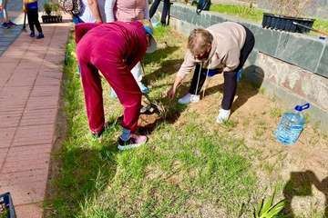 Pequeña plantación de especies canarias en la urbanización La Vega/TA.