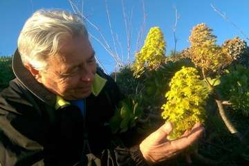 José Manuel Espiño, autor del artículo/TA.