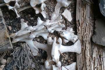 Montaña de María Ojeda/José Manuel Espiño Meilán