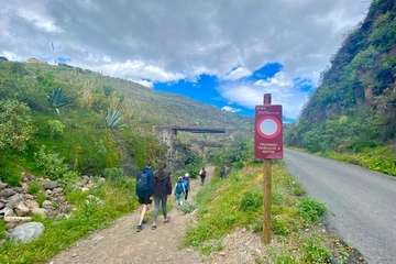 El Corredor Paisajístico de Telde se vuelve florido/TA.