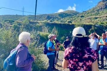 El Corredor Paisajístico de Telde se vuelve florido/TA.