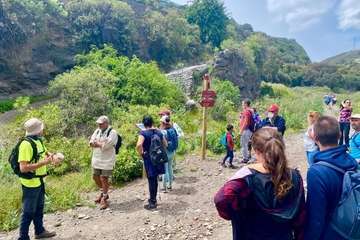 El Corredor Paisajístico de Telde se vuelve florido/TA.