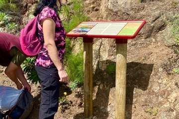 El Corredor Paisajístico de Telde se vuelve florido/TA.