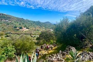 El Corredor Paisajístico de Telde se vuelve florido/TA.