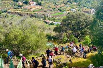 El Corredor Paisajístico de Telde se vuelve florido/TA.