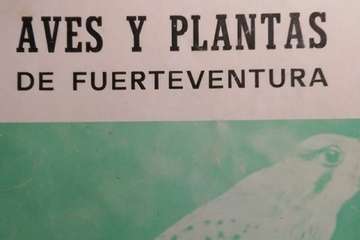 Biblioteca del Colectivo Turcón/TA.