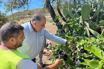 Medio Ambiente inicia la limpieza de caminos rurales y senderos de La Breña/TA.