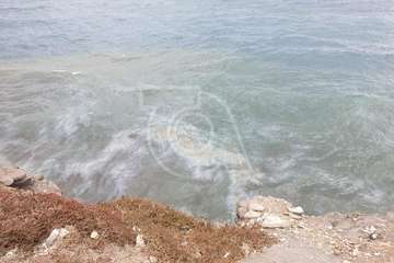 Vertido de combustible en la costa norte de Telde/TA.
