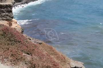 Vertido de combustible en la costa norte de Telde/TA.