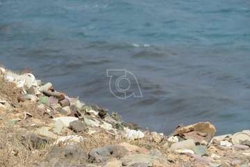 Vertido de combustible en la costa norte de Telde/TA.