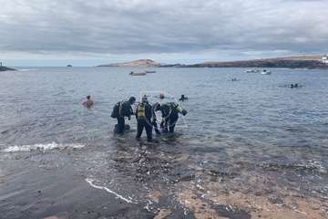El VII FotoSub Costa de Telde se sumerge en las aguas cristalinas de Tufia/TA.