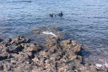 El VII FotoSub Costa de Telde se sumerge en las aguas cristalinas de Tufia/TA.
