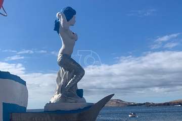 El VII FotoSub Costa de Telde se sumerge en las aguas cristalinas de Tufia/TA.